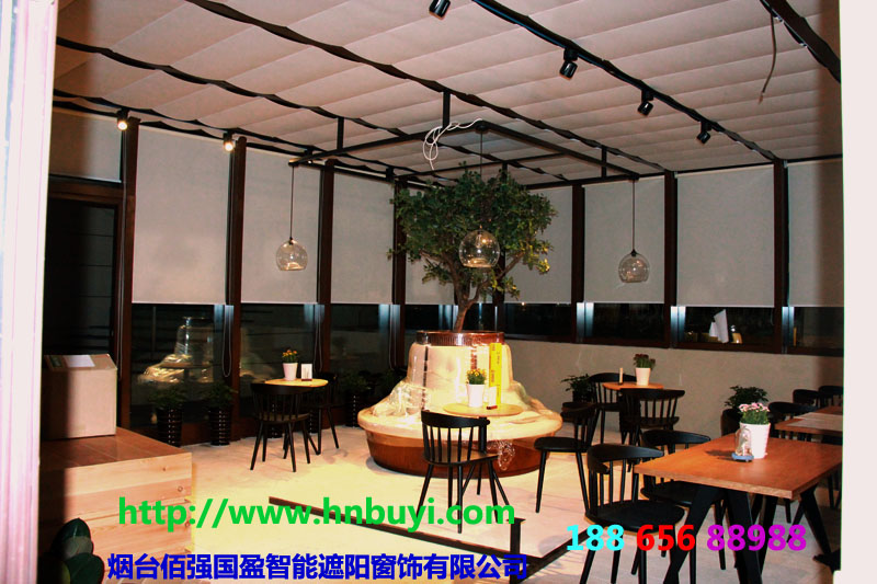 空间设计：电动天棚帘、布艺卷帘、木百叶、家具、绿化植物的完美搭配